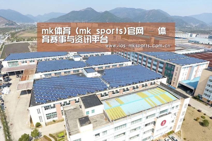 案例展示二
