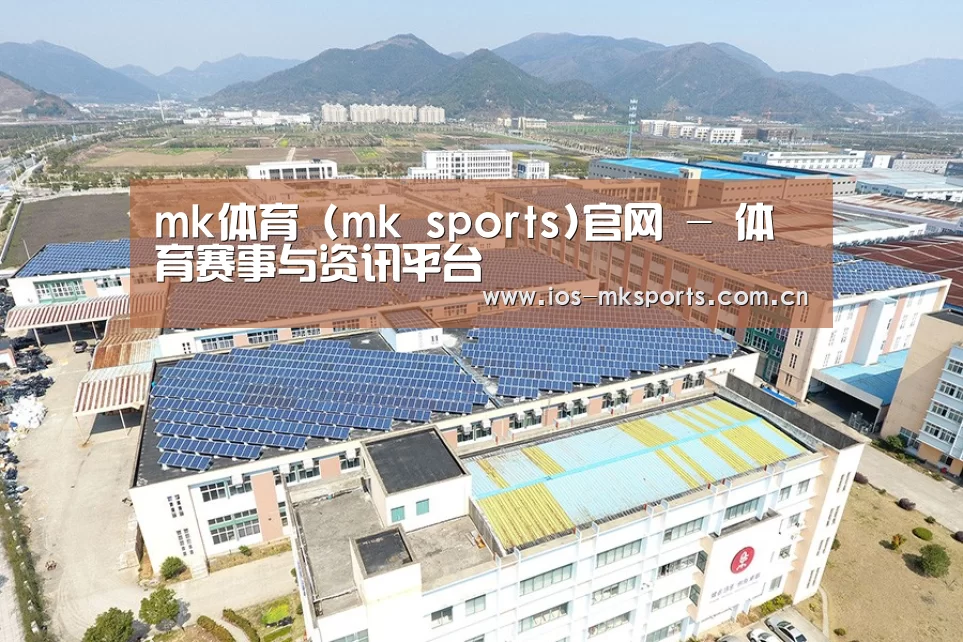 案例展示一