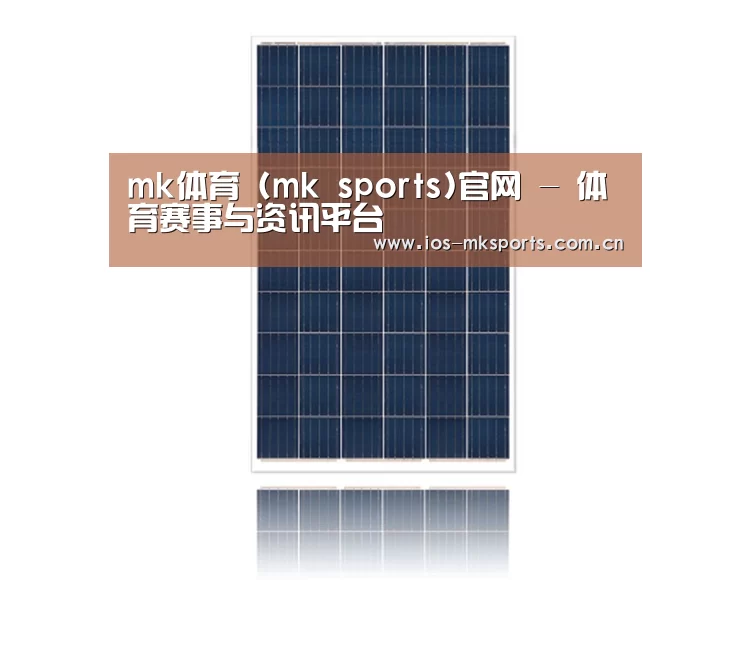 产品名称四