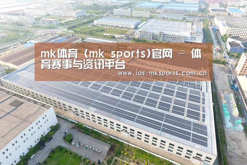 案例展示二