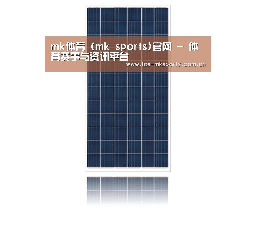 产品名称一