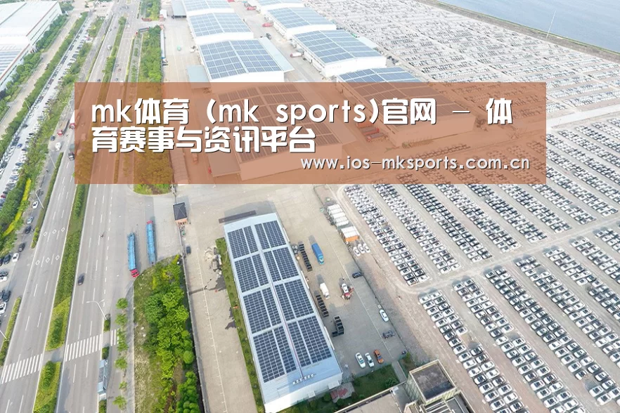 案例展示一