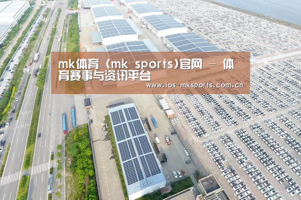 案例展示三