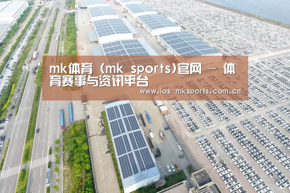 案例展示四