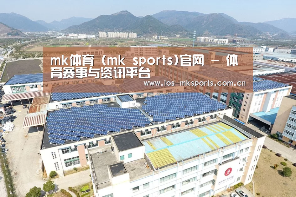 案例展示三