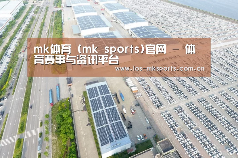 案例展示二