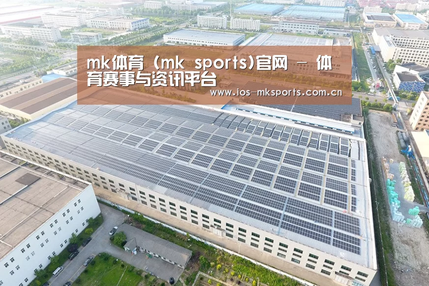 案例展示四