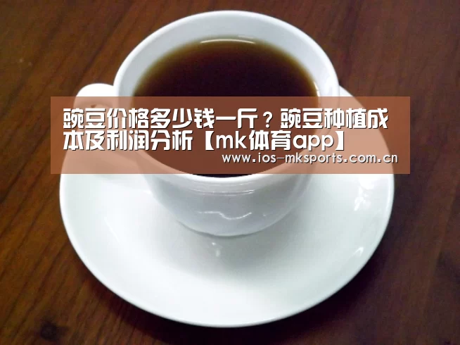 mk体育app