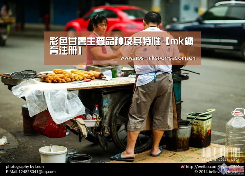mk体育中国官网