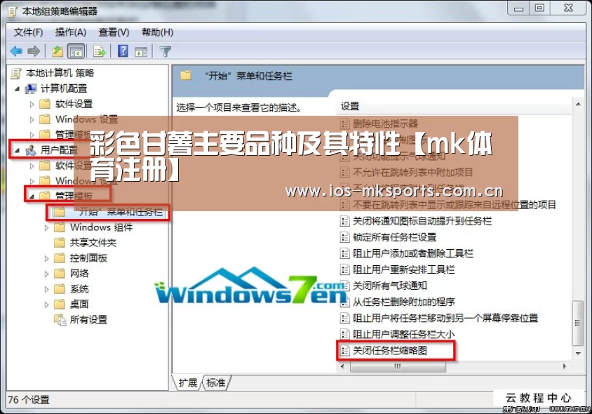mk体育中国官网