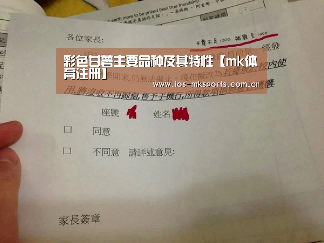 mk体育下载