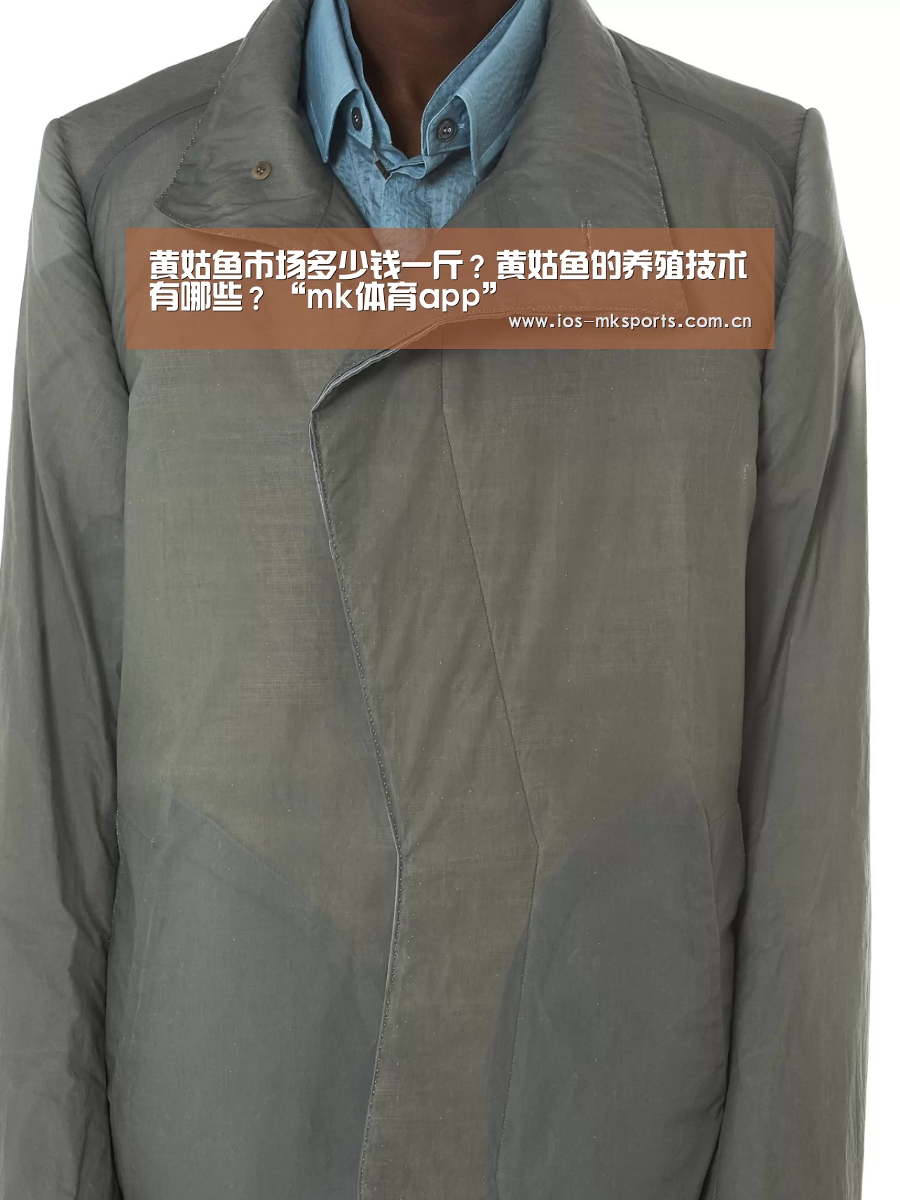 黄姑鱼市场多少钱一斤?黄姑鱼的养殖技术有哪些?“mk体育app”(图1) mk体育中国官网