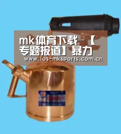 mk体育下载-【专题报道】暴力右翼极端主义日渐抬头 联合国成员国借助多边外交舞台商讨应对策略(图1) mk体育app