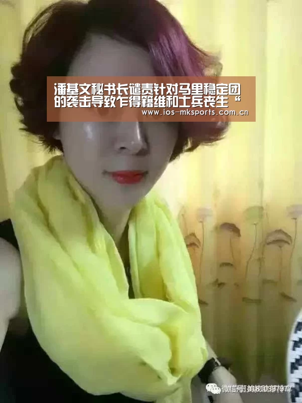 潘基文秘书长谴责针对马里稳定团的袭击导致