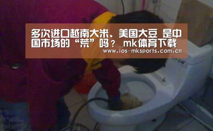 多次进口越南大米、美国大豆 是中国市场的“荒”吗?_mk体育下载(图2) mk体育中国官网